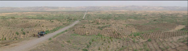 Country makes gains in fight against desertification
