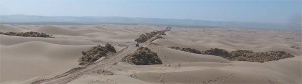 Country makes gains in fight against desertification