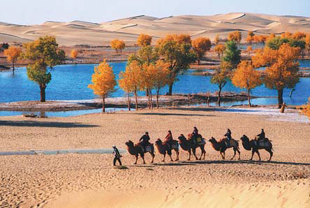 Country makes gains in fight against desertification