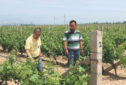 Country makes gains in fight against desertification