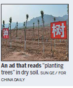 Country makes gains in fight against desertification
