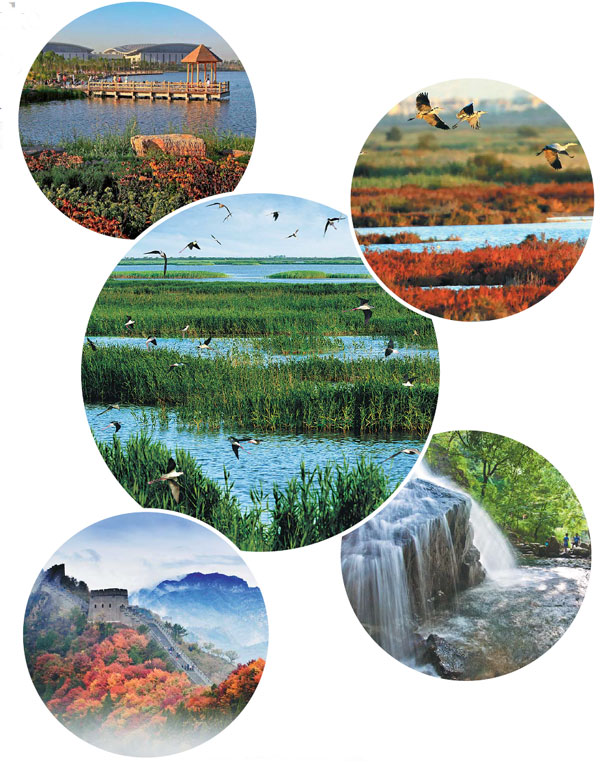 Plan aims to make area clean, green, sustainable and globally focused