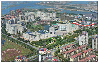 Creative industries thrive in eco-city