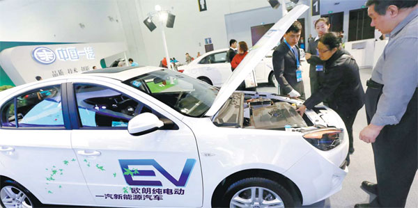 Soaring nev industry must 'slow down', says expert