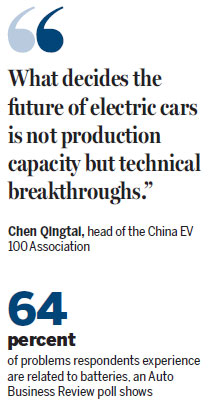 Soaring nev industry must 'slow down', says expert