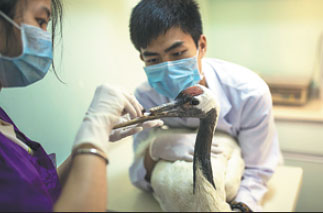 On chinadaily.com.cn