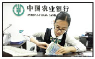 On chinadaily.com.cn