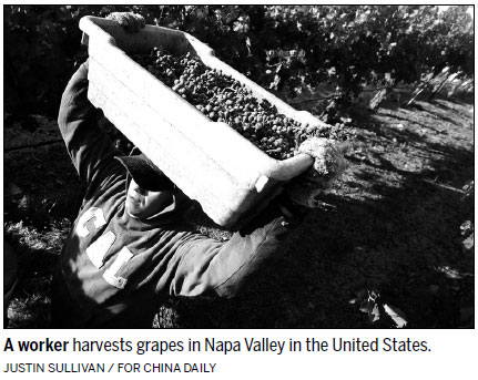 Napa Valley trademark wins legal battle