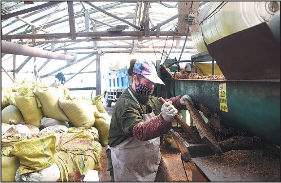 Northeastern provinces need core reform