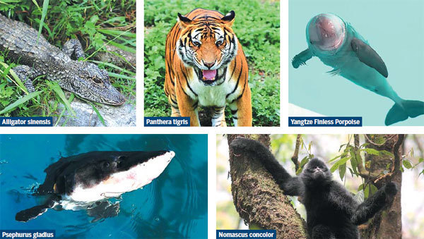 Other threatened animals