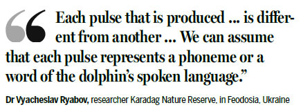 Dolphins recorded conversing 'just like two people' for first time