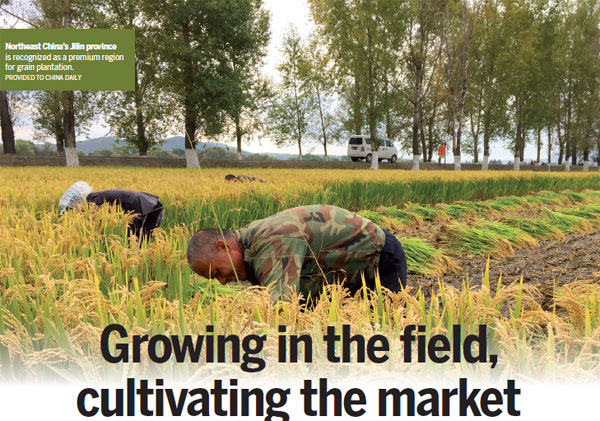 Growing in the field, cultivating the market