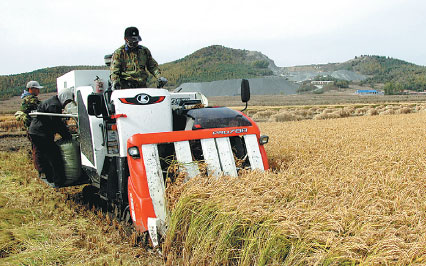 Growing in the field, cultivating the market