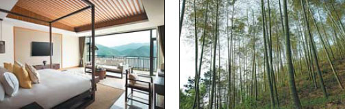 Alila Anji provides bamboo retreat from bustle of daily life