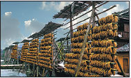 Ethnic villages in Guizhou