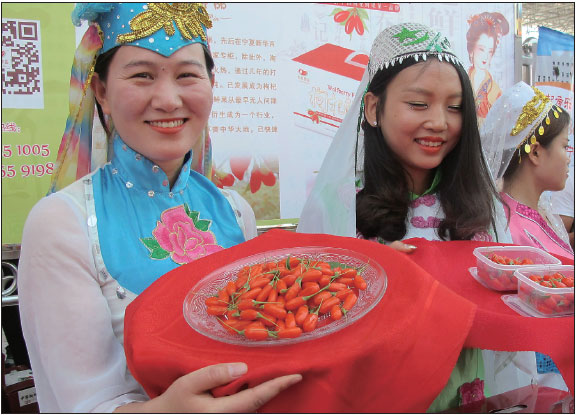 Ancient Ningxia agriculture today modernizing, thriving