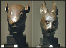 On chinadaily.com.cn