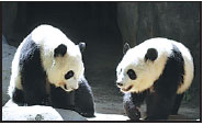 On chinadaily.com.cn