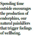 Psychological benefits of getting dirty include more creativity