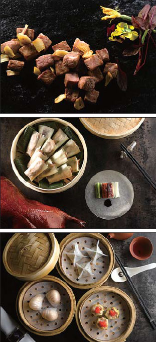 Exquisite flavors of china