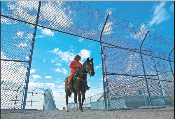Wild horses tamed by prisoners