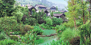 On chinadaily.com.cn