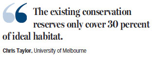Iconic possum 'at risk of extinction' if logging continues
