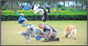On chinadaily.com.cn