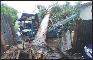 Rain eases but north faces renewed storm