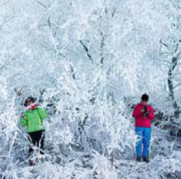Hoarfrost brings wealth to residents
