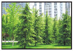 Around China