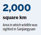 Wildlife diversity increases at planned park