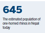 Nepal's rhinos on recovery road with anti-poaching initiative