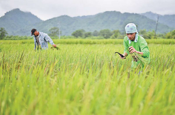 Agricultural cooperation a boon for Filipinos