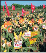 Scientifi C Advances Make Rich Harvests