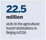 Two worlds collide in rising agricultural tourism sector
