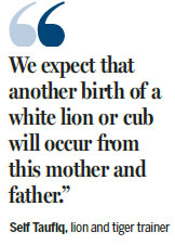 Zoo's white lion marks first birthday