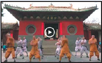 On chinadaily.com.cn