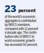Advisers to play role in BRICS' worldwide influence