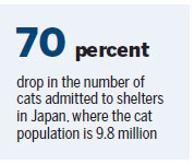 Cats roam the railway to raise plight of strays