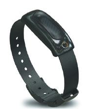 Fitness band to track sun exposure