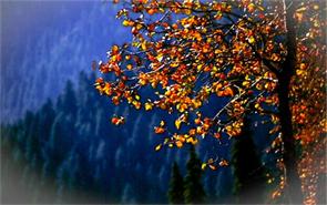 Video site Bilibili planning US offering - Chinad