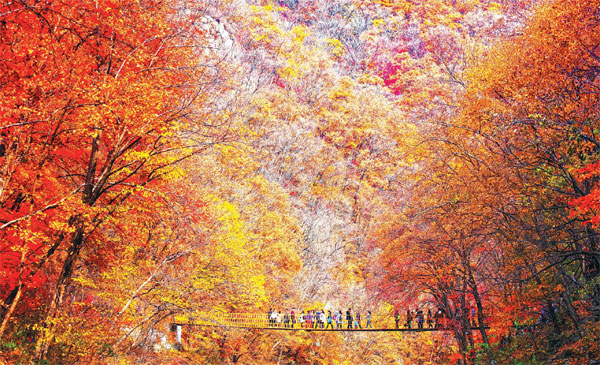 Autumnal hues