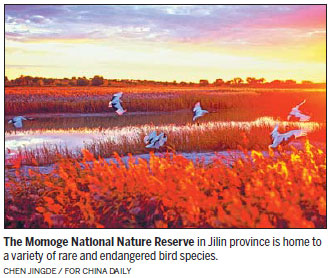 Environmental campaign gives Momoge reserve a new lease on life