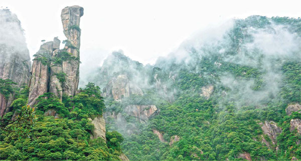 Jiangxi's ecological civilization program drives rural incomes