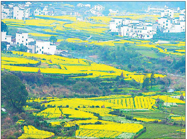 Restoring mining region allows for green economic benefits