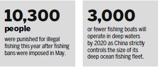 Bans help replenish sea fish stocks