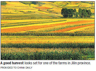 Past 5 years' work lays foundation for a well-off society