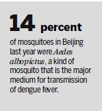 Beijing targets mosquitoes to cut dengue risk