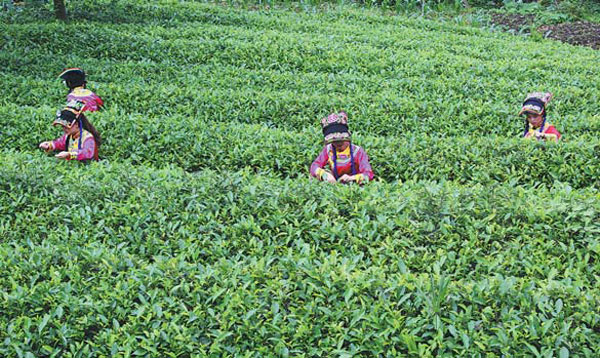 Wenchuan prospers from decade of growth